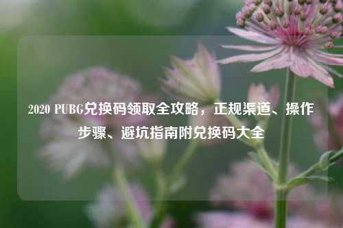 2020 PUBG兑换码领取全攻略,正规渠道、操作步骤、避坑指南附兑换码大全