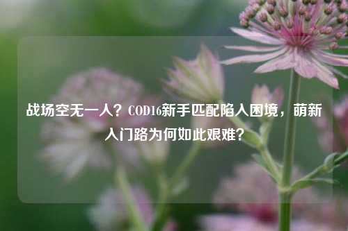 战场空无一人？COD16新手匹配陷入困境，萌新入门路为何如此艰难？