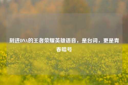 刻进DNA的王者荣耀英雄语音，是台词，更是青春暗号