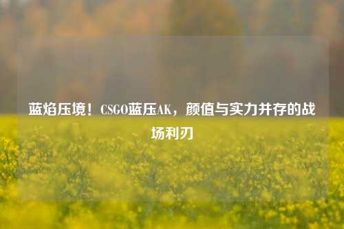 蓝焰压境！CSGO蓝压AK，颜值与实力并存的战场利刃