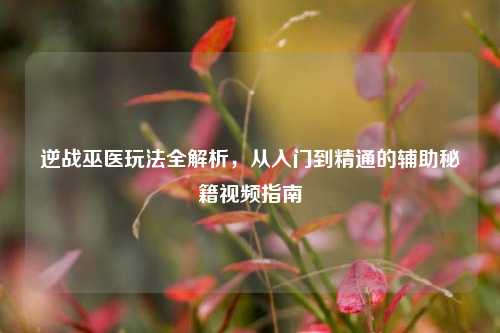 逆战巫医玩法全解析，从入门到精通的辅助秘籍视频指南