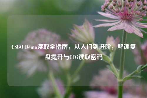 CSGO Demo读取全指南,从入门到进阶,解锁复盘提升与CFG读取密码