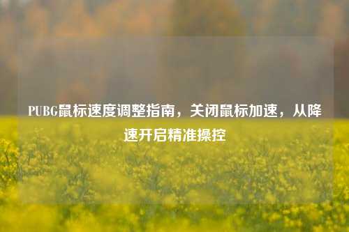 PUBG鼠标速度调整指南，关闭鼠标加速，从降速开启精准操控