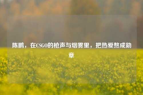 陈鹏,在CSGO的枪声与烟雾里,把热爱熬成勋章