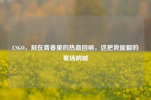 CSGO,刻在青春里的热血回响,这把我能翻的赛场呐喊