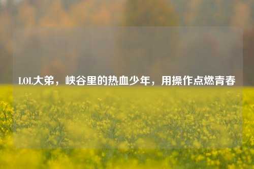 LOL大弟，峡谷里的热血少年，用操作点燃青春