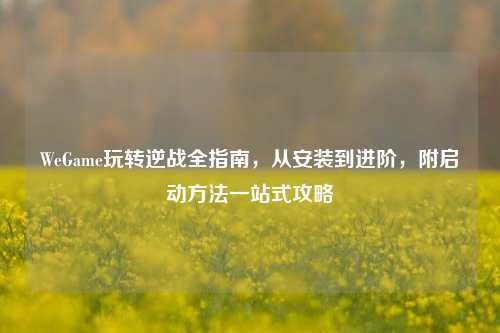 WeGame玩转逆战全指南，从安装到进阶，附启动方法一站式攻略
