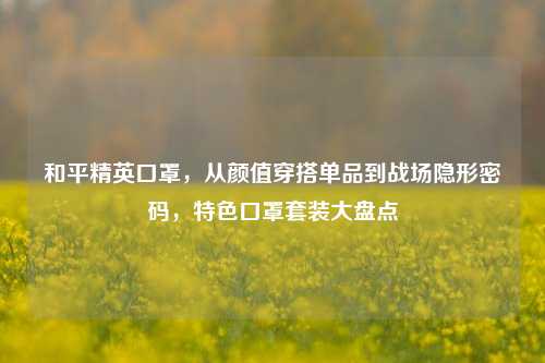 和平精英口罩，从颜值穿搭单品到战场隐形密码，特色口罩套装大盘点