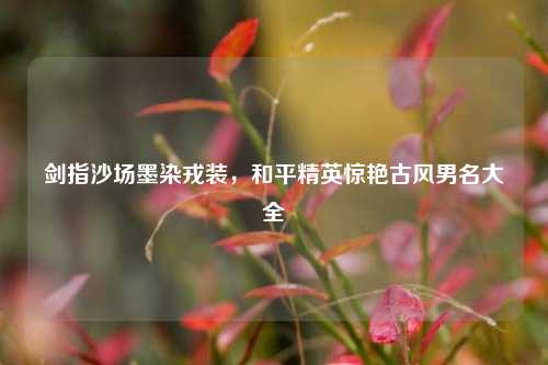 剑指沙场墨染戎装,和平精英惊艳古风男名大全