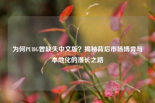 为何PUBG曾缺失中文版？揭秘背后市场博弈与本地化的漫长之路