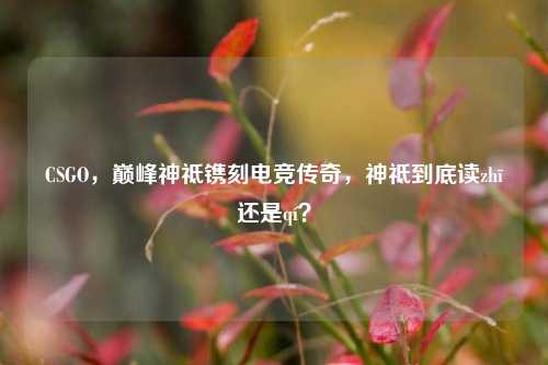 CSGO，巅峰神祗镌刻电竞传奇，神祗到底读zhī还是qí？