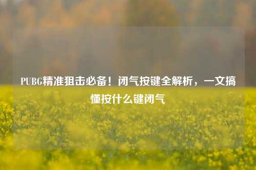 PUBG精准狙击必备！闭气按键全解析，一文搞懂按什么键闭气