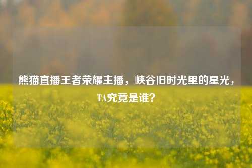 熊猫直播王者荣耀主播，峡谷旧时光里的星光，TA究竟是谁？