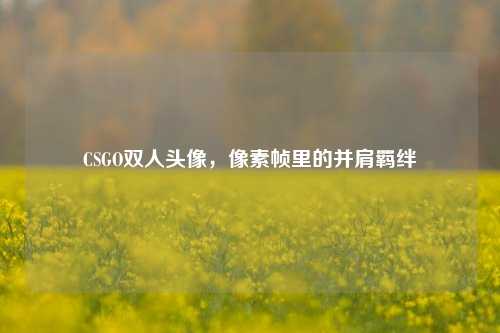 CSGO双人头像,像素帧里的并肩羁绊