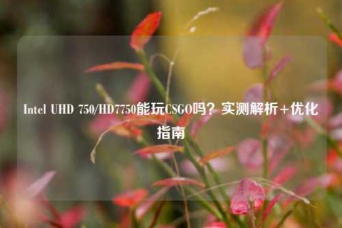 Intel UHD 750/HD7750能玩CSGO吗?实测解析+优化指南