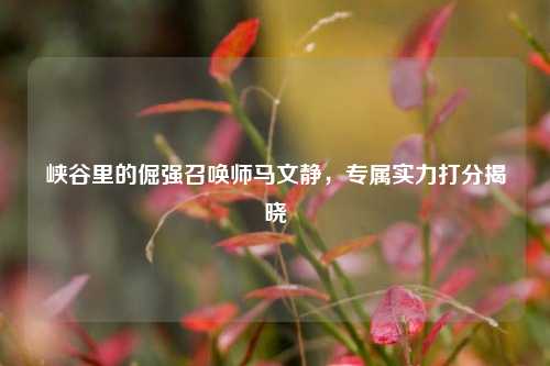 峡谷里的倔强召唤师马文静，专属实力打分揭晓