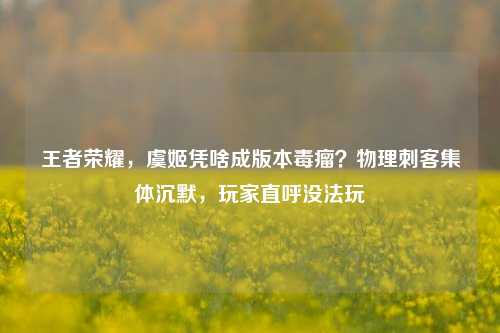 王者荣耀，虞姬凭啥成版本毒瘤？物理刺客集体沉默，玩家直呼没法玩
