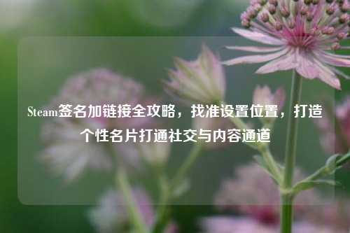 Steam签名加链接全攻略,找准设置位置,打造个性名片打通社交与内容通道