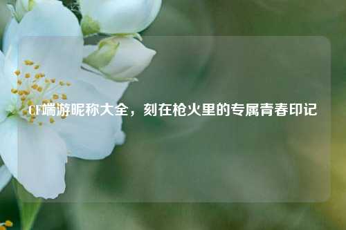 CF端游昵称大全，刻在枪火里的专属青春印记