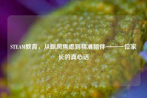 STEAM教育,从跟风焦虑到精准陪伴——一位家长的真心话