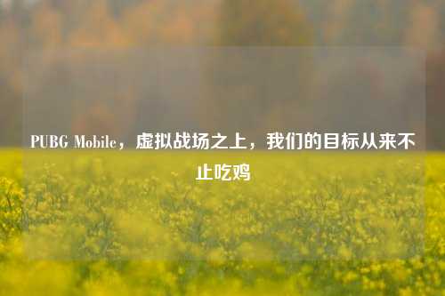 PUBG Mobile,虚拟战场之上,我们的目标从来不止吃鸡