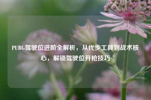 PUBG驾驶位进阶全解析，从代步工具到战术核心，解锁驾驶位开枪技巧
