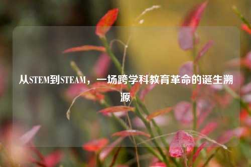 从STEM到STEAM，一场跨学科教育革命的诞生溯源