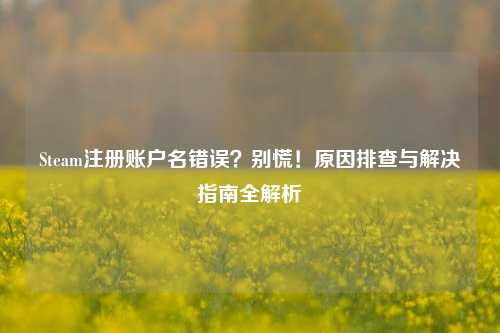 Steam注册账户名错误？别慌！原因排查与解决指南全解析