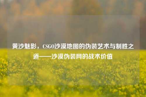 黄沙魅影，CSGO沙漠地图的伪装艺术与制胜之道——沙漠伪装网的战术价值