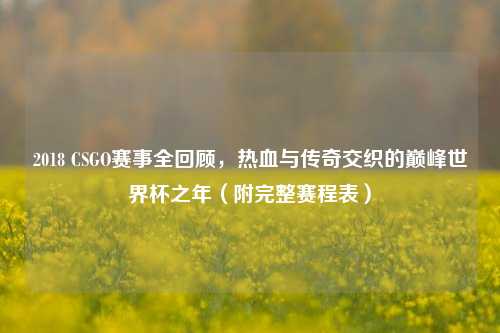2018 CSGO赛事全回顾,热血与传奇交织的巅峰世界杯之年(附完整赛程表)