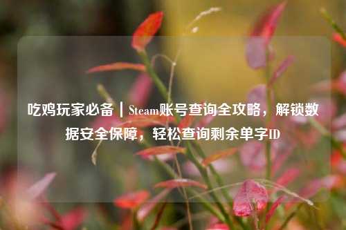 吃鸡玩家必备｜Steam账号查询全攻略，解锁数据安全保障，轻松查询剩余单字ID