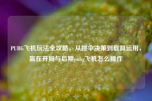 PUBG飞机玩法全攻略,从跳伞决策到载具运用,赢在开局与后期pubg飞机怎么操作