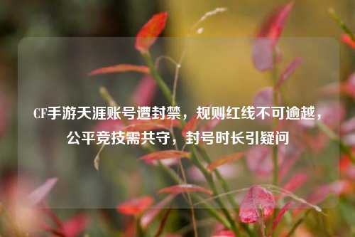 CF手游天涯账号遭封禁，规则红线不可逾越，公平竞技需共守，封号时长引疑问