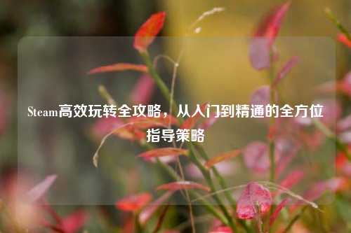 Steam高效玩转全攻略,从入门到精通的全方位指导策略