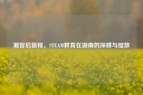 湘智启新程，STEAM教育在湖南的深耕与绽放