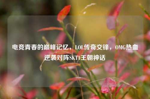 电竞青春的巅峰记忆，LOL传奇交锋，OMG热血逆袭对阵SKT1王朝神话