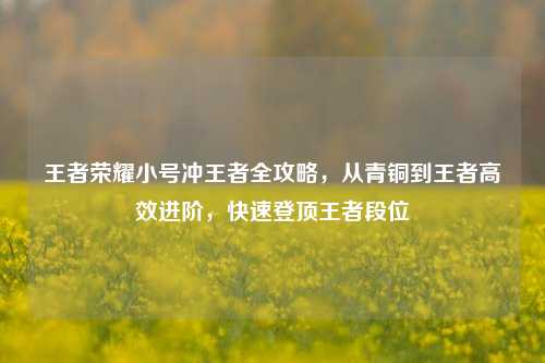 王者荣耀小号冲王者全攻略，从青铜到王者高效进阶，快速登顶王者段位