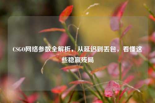 CSGO网络参数全解析，从延迟到丢包，看懂这些稳赢残局