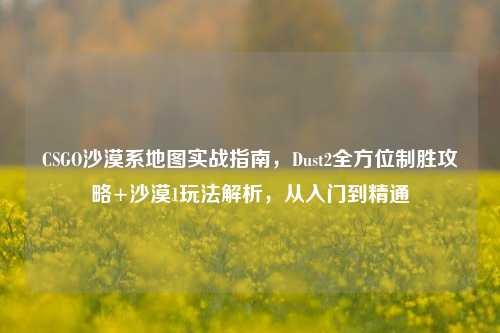 CSGO沙漠系地图实战指南，Dust2全方位制胜攻略+沙漠1玩法解析，从入门到精通