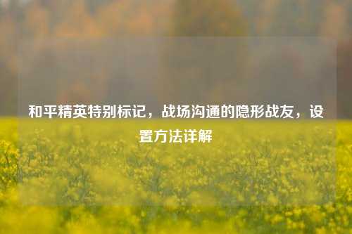 和平精英特别标记，战场沟通的隐形战友，设置方法详解