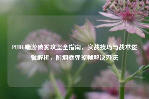 PUBG端游破雾攻坚全指南,实战技巧与战术逻辑解析,附烟雾弹掉帧解决办法