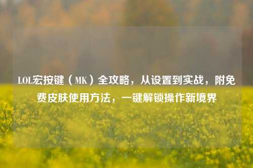 LOL宏按键（MK）全攻略，从设置到实战，附免费皮肤使用方法，一键解锁操作新境界