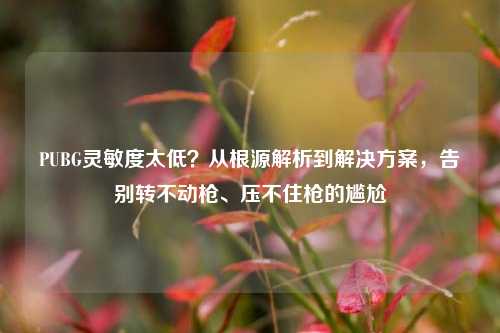 PUBG灵敏度太低?从根源解析到解决方案,告别转不动枪、压不住枪的尴尬