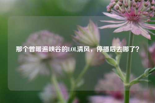 那个曾暖遍峡谷的LOL清风,停播后去哪了?
