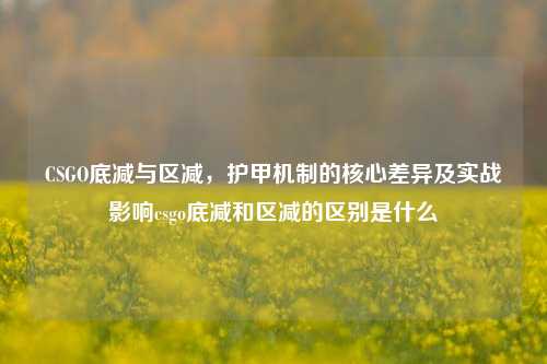 CSGO底减与区减，护甲机制的核心差异及实战影响csgo底减和区减的区别是什么