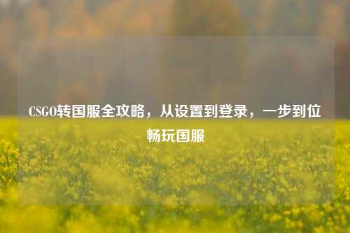 CSGO转国服全攻略，从设置到登录，一步到位畅玩国服