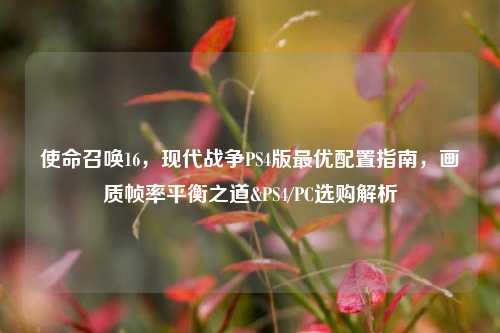 使命召唤16，现代战争PS4版最优配置指南，画质帧率平衡之道&PS4/PC选购解析