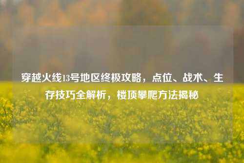 穿越火线13号地区终极攻略，点位、战术、生存技巧全解析，楼顶攀爬方法揭秘