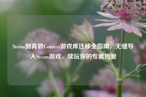 Steam到育碧Connect游戏库迁移全指南，无缝导入Steam游戏，续玩你的专属热爱