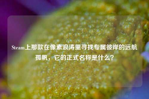 Steam上那款在像素浪涛里寻找专属彼岸的远航孤帆，它的正式名称是什么？
